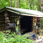 Wiley Shelter