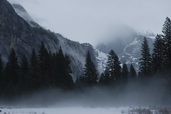 Winter in Yosemite, Feb 2009