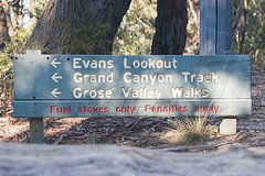 Evans Lookout to Govetts Leap via the Horse Track