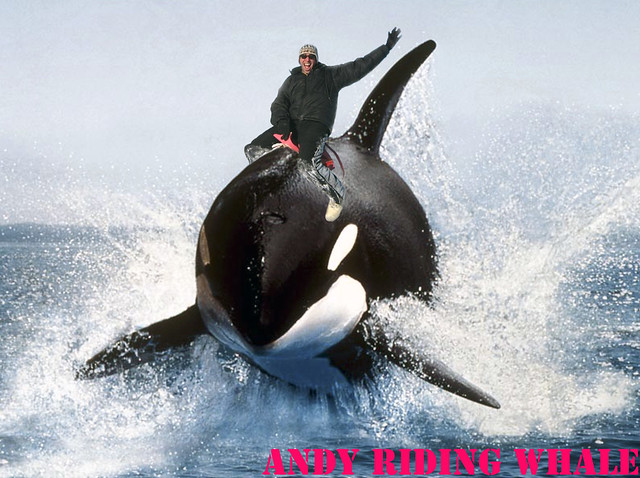 riding a whale