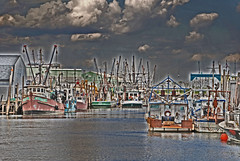 2011.05.07; Belford Fishing Port