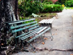 Benches and Chairs