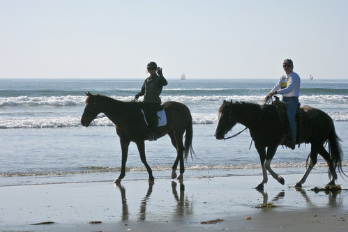 Two Equestrians wave hello. Horses and riders, equestrians, on Morro Strand State Beach