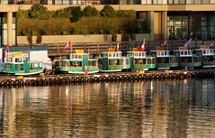 Victoria Harbour Ferry
