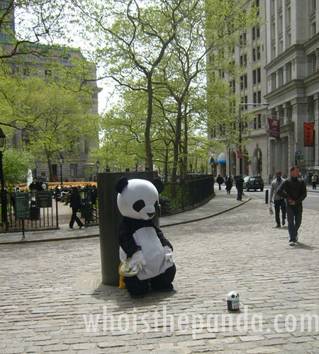 Sad Panda at Bowling Green