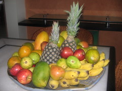 Frutos e Plantas