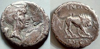 489/5 #9255-17 ANTONI IMP IIIVIR Mark Antony Fulvia Lion Quinarius