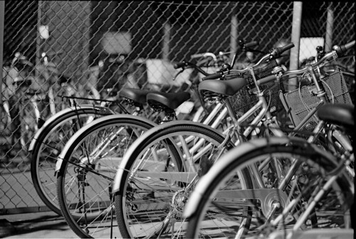 駐輪場：Bicycle parking - 無料写真検索fotoq