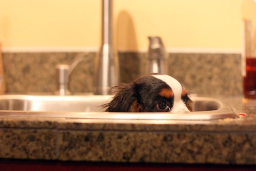 Bath time for Townes by Eric J. Lubbers