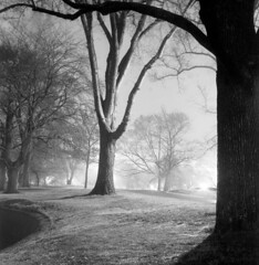 boston, public garden at night - april 1958 (1958-040-10)