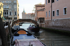 Life In Venice, 2009