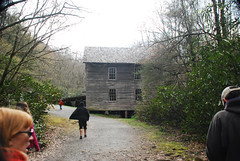 Great Smoky Mountains - Grist Mill