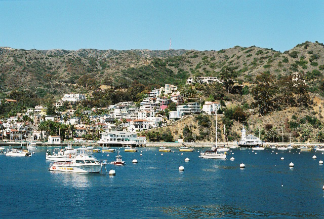 Download this Catalina Island picture