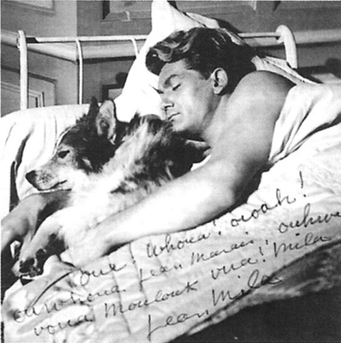 Jean Marais found this dog in the forest during the WW2 he was lost and 