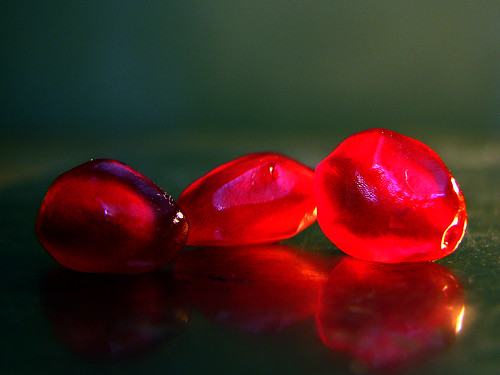 pomegranate seeds by msxa13