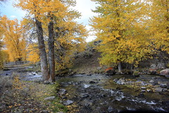 Fall in Yellowstone Park