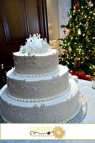  Winter Wedding cake Winter Cakes Winter Theme cakes White cakes