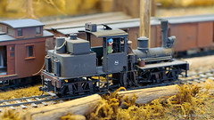 Ely Model Rail 2011