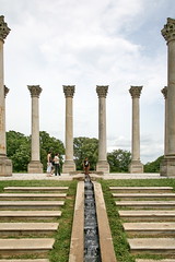 National Arboretum: National Capitol Columns