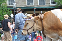 Dryden Dairy Parade, 2009