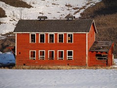 canadian barns