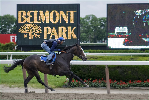 Belmont Track by Alida's Photos
