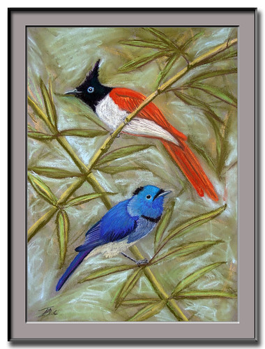 Asian Paradise Flycatcher and Black-naped Monarch painting