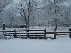 Feb 2009 snow