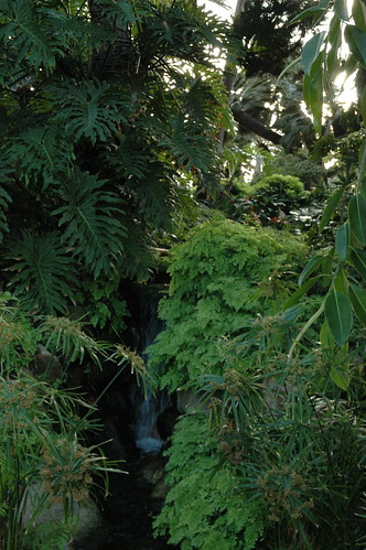Little shady waterfall hidden in-between lush green foliage, Meditation Garden - Self-Realization Fellowship, Encinitas, California, USA by Wonderlane