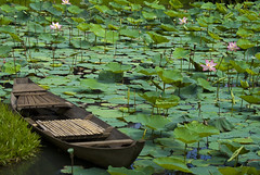 My Tho Island, Mekong Delta, Vietnam