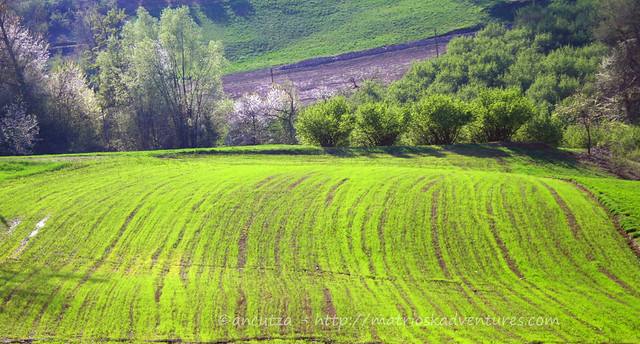 immagini colline verdi langhe Piemonte