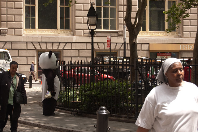 Sad Panda Bowling Green Looking wistfully at the nonsad people in 
