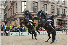 HORSES: a taste of spain: classical equitation etc 
