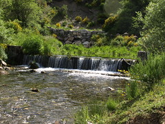 Fuente la Deshondonada y Valle Estrecho (Parque Natural de Fuentes Carrionas y Fuente Cobre-Montaña Palentina, Palencia)