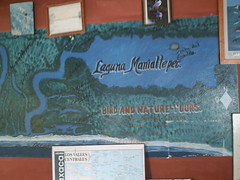 Laguna Manialtepec - April 23, 2009