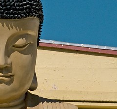 City of 10,000 Buddhas