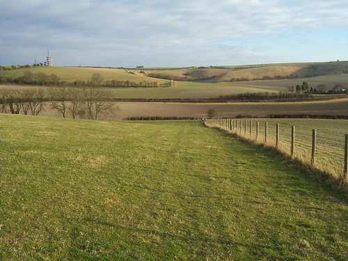 Grassy fields