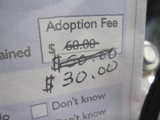If you just wait to adopt a cat, the price will go down. :-(
