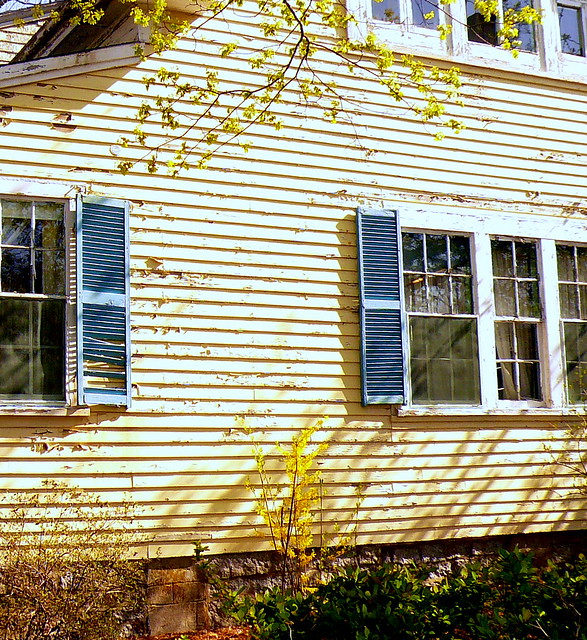 Yellow House in New England with Blue Shutters in Springtime ...