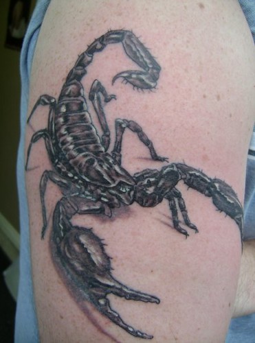 scorpion tattoo