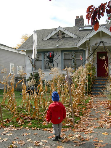 Halloween house and yard by greenwalksblog