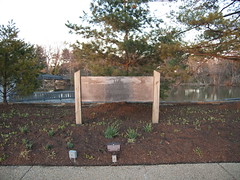 Lyndon Baines Johnson Memorial Grove