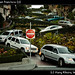 Lombard Street, San Francisco (2)