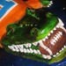 Gator cake holding the football