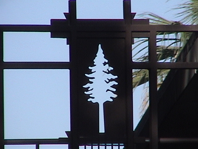 WHERE IN DISNEYLAND? Post your Guess here! Pine Tree Stencil