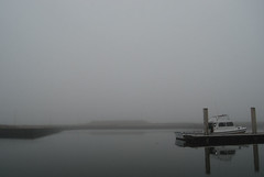 Another Foggy Morning on the Spit...