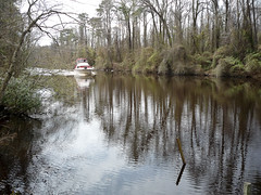 Dismal swamp canal