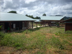 Annexe du Collège Constant Chlore de Camopi