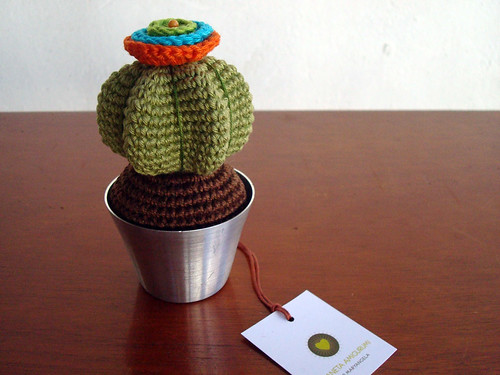 cactus novo
