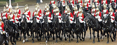 Colonels Review 2009 - Horse Guards